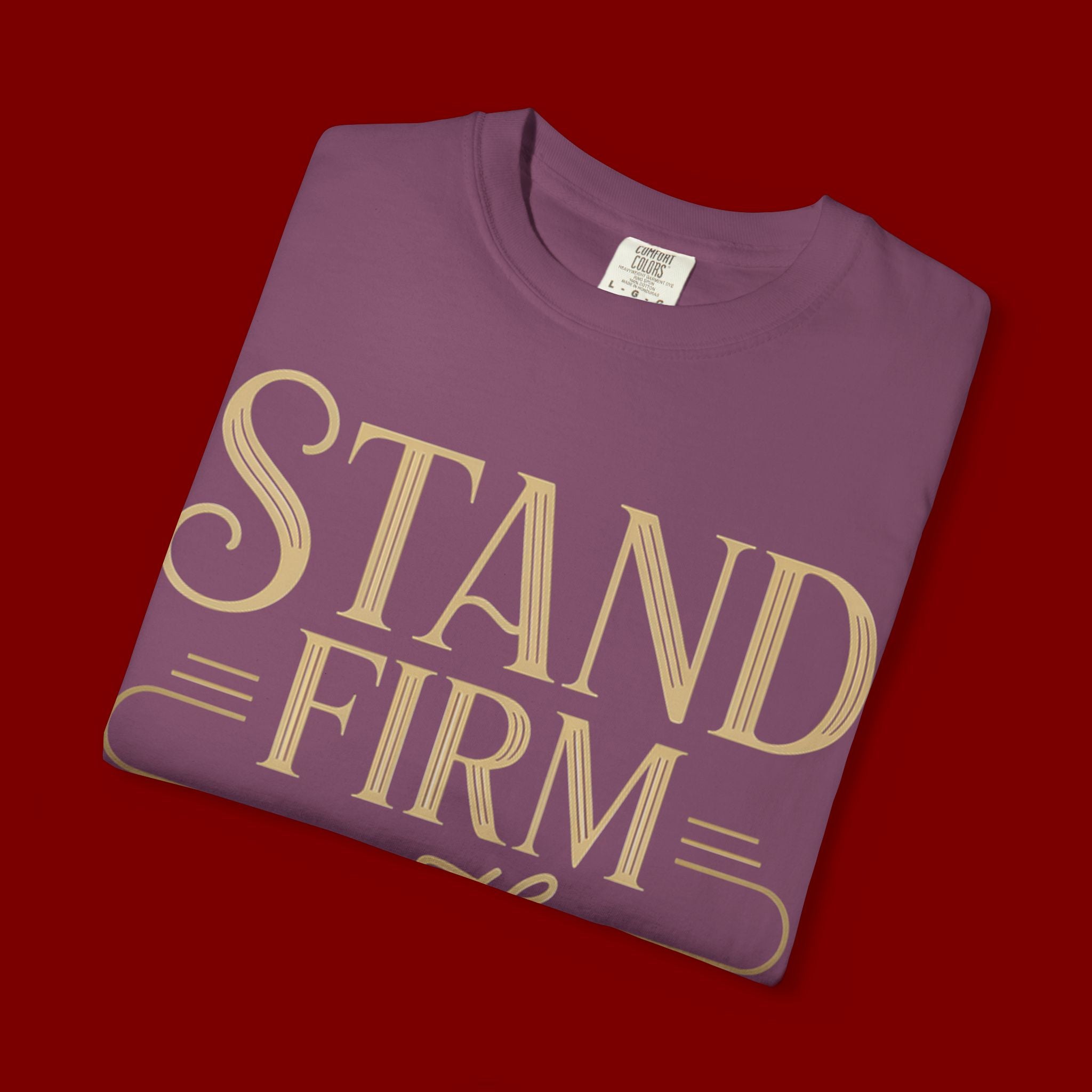 Stand Firm in the Faith T-Shirt