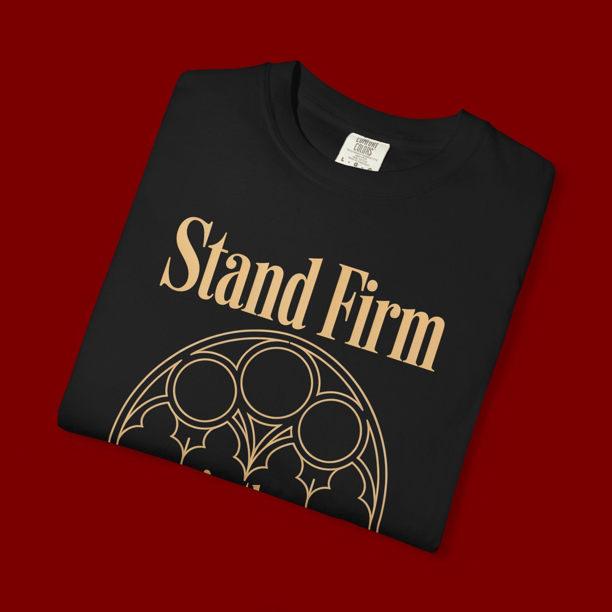 Stand Firm in the Faith T-Shirt